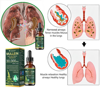 ✅𝐔𝐒 𝐎𝐟𝐟𝐢𝐜𝐢𝐚𝐥 𝐒𝐭𝐨𝐫𝐞|𝐂𝐞𝐥𝐬𝐢𝐨𝐫𝐚® 𝐎𝐫𝐠𝐚𝐧𝐢𝐜 𝐌𝐮𝐥𝐥𝐞𝐢𝐧 𝐋𝐞𝐚𝐟 𝐋𝐮𝐧𝐠 𝐂𝐥𝐞𝐚𝐧𝐬𝐞 𝐄𝐬𝐬𝐞𝐧𝐭𝐢𝐚𝐥 𝐎𝐢𝐥 (🫁Cough, wheezing, shortness of breath, sputum, stuffy nose, bronchitis, bronchitis, allergy symptoms, lung discomfort💝)