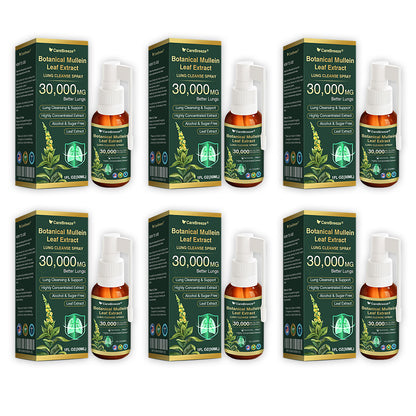 ⚡⚡✅US Official Store:CareBreeze® Botanical Mullein Leaf Extract Lung Cleanse Spray（👨‍⚕️Directly acts on COPD, asthma, chronic bronchitis (CB), respiratory infections, lung cancer, sinusitis, and other conditions）