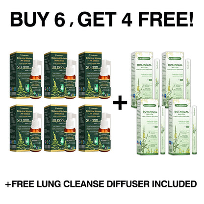 ⚡⚡✅US Official Store:CareBreeze® Botanical Mullein Leaf Extract Lung Cleanse Spray（👨‍⚕️Directly acts on COPD, asthma, chronic bronchitis (CB), respiratory infections, lung cancer, sinusitis, and other conditions）