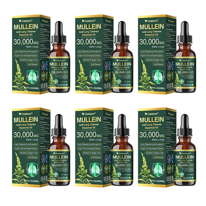 ✅𝐔𝐒 𝐎𝐟𝐟𝐢𝐜𝐢𝐚𝐥 𝐒𝐭𝐨𝐫𝐞|𝐂𝐞𝐥𝐬𝐢𝐨𝐫𝐚® 𝐎𝐫𝐠𝐚𝐧𝐢𝐜 𝐌𝐮𝐥𝐥𝐞𝐢𝐧 𝐋𝐞𝐚𝐟 𝐋𝐮𝐧𝐠 𝐂𝐥𝐞𝐚𝐧𝐬𝐞 𝐄𝐬𝐬𝐞𝐧𝐭𝐢𝐚𝐥 𝐎𝐢𝐥 (🫁Cough, wheezing, shortness of breath, sputum, stuffy nose, bronchitis, bronchitis, allergy symptoms, lung discomfort💝)
