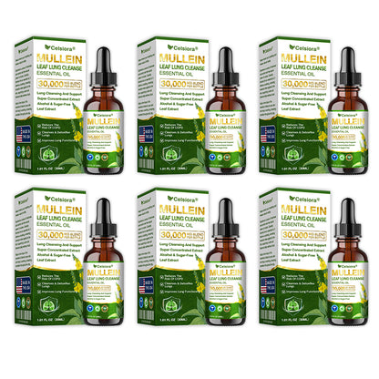 💝✅𝐔𝐒 𝐎𝐟𝐟𝐢𝐜𝐢𝐚𝐥 𝐒𝐭𝐨𝐫𝐞|𝐂𝐞𝐥𝐬𝐢𝐨𝐫𝐚® 𝐎𝐫𝐠𝐚𝐧𝐢𝐜 𝐌𝐮𝐥𝐥𝐞𝐢𝐧 𝐋𝐞𝐚𝐟 𝐋𝐮𝐧𝐠 𝐂𝐥𝐞𝐚𝐧𝐬𝐞 𝐄𝐬𝐬𝐞𝐧𝐭𝐢𝐚𝐥 𝐎𝐢𝐥 (💖Cough, wheezing, shortness of breath, sputum, stuffy nose, bronchitis, bronchitis, allergy symptoms, lung discomfort💝)