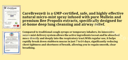 🐝🇺🇸 Official Store:CareBreeze® 6-in-1 Herbal BeePropolis Lung Cleanse Spray（👨‍⚕️Directly acts on COPD, asthma, chronic bronchitis (CB), respiratory infections, lung cancer, sinusitis, and other conditions🫁）