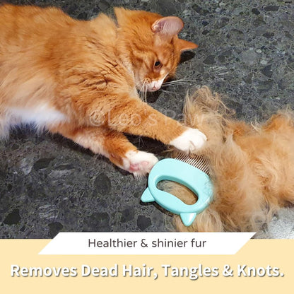Pet Deshedding Massage Shell Comb – Soft Brush for Detangling and Removing Mats
