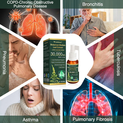 ⚡⚡✅US Official Store:CareBreeze® Botanical Mullein Leaf Extract Lung Cleanse Spray（👨‍⚕️Directly acts on COPD, asthma, chronic bronchitis (CB), respiratory infections, lung cancer, sinusitis, and other conditions）
