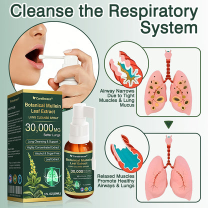 ⚡⚡✅US Official Store:CareBreeze® Botanical Mullein Leaf Extract Lung Cleanse Spray（👨‍⚕️Directly acts on COPD, asthma, chronic bronchitis (CB), respiratory infections, lung cancer, sinusitis, and other conditions）
