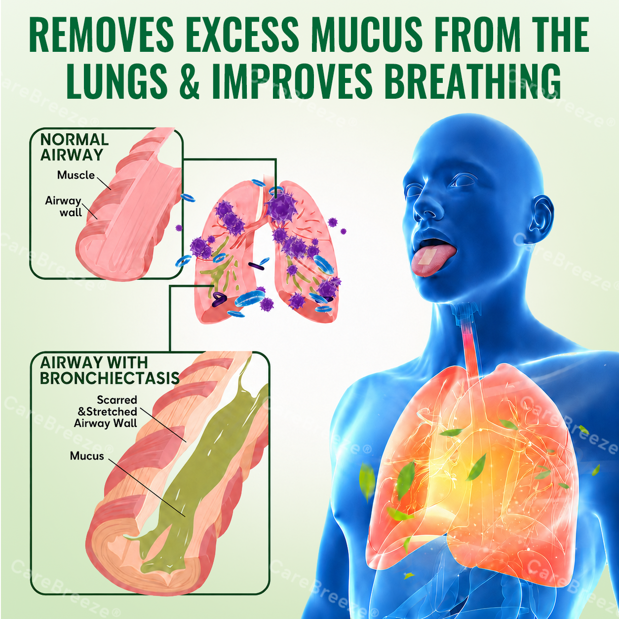 🇺🇸 ✅CareBreeze® Advanced Botanical Mullein Lung Cleanse Melt Strips（👨‍⚕️Directly acts on COPD, asthma, chronic bronchitis (CB), respiratory infections, lung cancer, sinusitis, and other conditions）