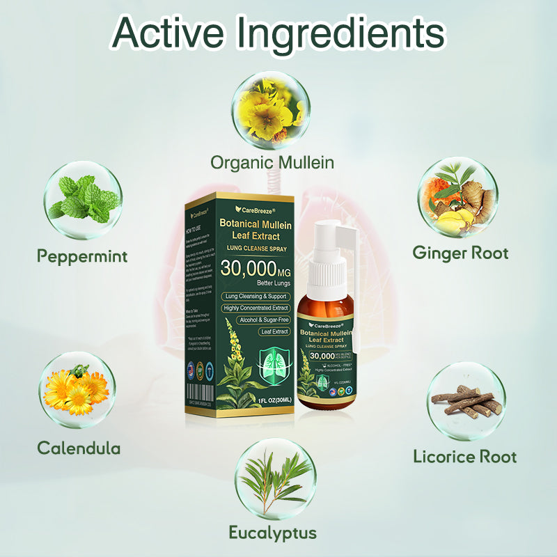 ⚡⚡✅US Official Store:CareBreeze® Botanical Mullein Leaf Extract Lung Cleanse Spray（👨‍⚕️Directly acts on COPD, asthma, chronic bronchitis (CB), respiratory infections, lung cancer, sinusitis, and other conditions）